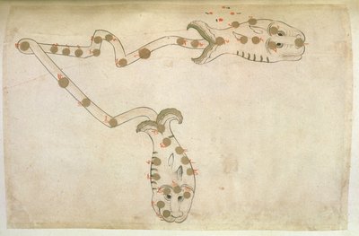 Rappresentazioni dello Zodiaco: Pesci, i pesci, 1497-1498 (903 Hijra) da Suvar Al Kavakib